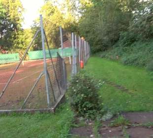 Tennisplätze Böhringen