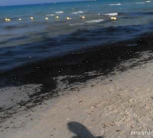 Schmutziger Strand
