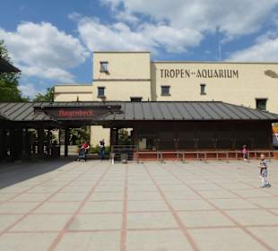 Funktionsgebäude Kassen etc,