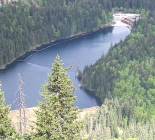 Schöne Sicht auf den gr. Arbersee