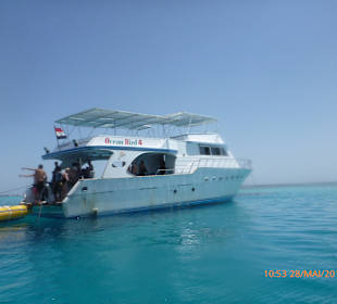 Dolphin Reef