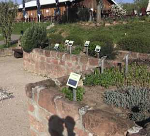 Gartenschau