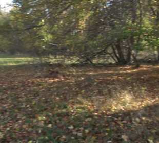 Wandertour "Rund um den Rossberg" Öschingen