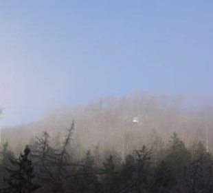 Baumwipfelpfad-Aussicht bei Nebel
