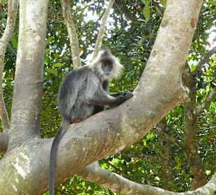 Ream National Park
