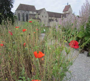Insel Reichenau Münster Kräutergarten