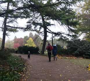 Parkanlage Planten un Blomen