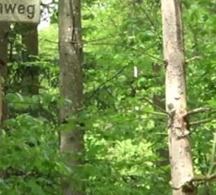 Naturpark Schönbuch