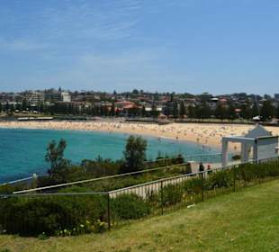 Coogee Beach