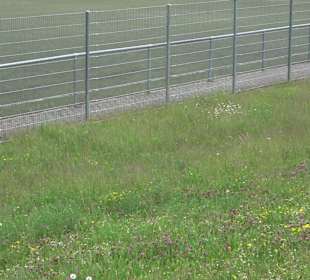 Sportplatz Empfingen