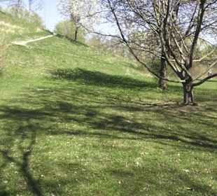 Sport- und Freizeitpark Markwasen