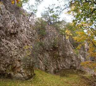 Naturschutzgebiet Großer Pfahl