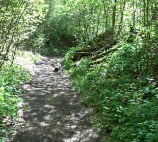 Premiumwanderweg Hochgehschätzt