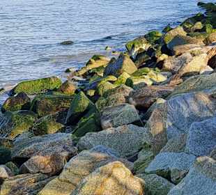 Strand hinten beim Arka