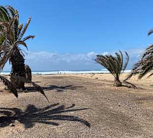 Strand Cotillo