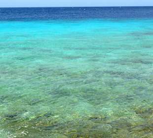 Impressionen vom Restaurant Karakter