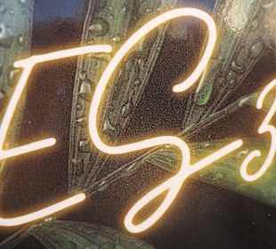 Pause bei Café und Bar ES5 (Plaça Sa Drassana)