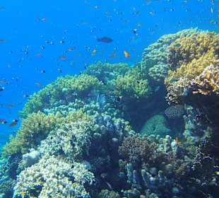 Außenriff Panorama
