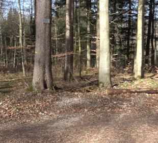 Premiumwanderweg Hohenwittlingensteig