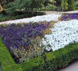 Real Jardín Botánico de Madrid