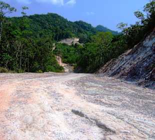 Der Weg