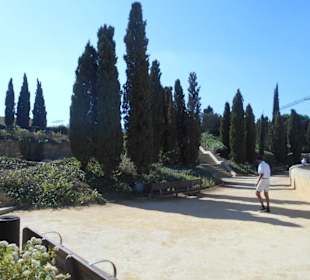 Park Torres
