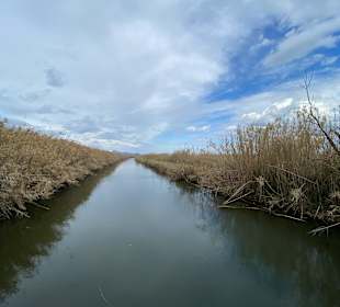 Naturpark S'Albufera