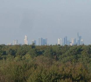 Frankfurts Skyline