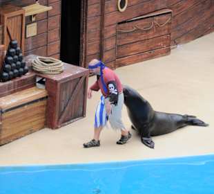 Clyde and Seamore Take Pirate Island