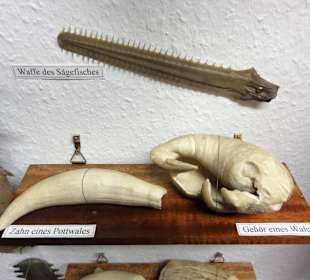 Rundgang durch das Burgmuseum