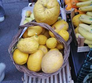 Zitronen in allen Grössen