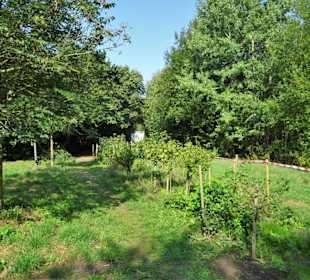 Der Naschgarten des Arboretum Wildeshausen