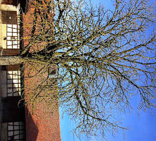 Innenhof
