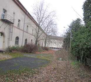 Zugewachsene Stengelkaserne