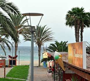 Playa Vista