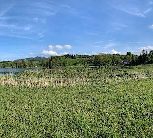 Soier See