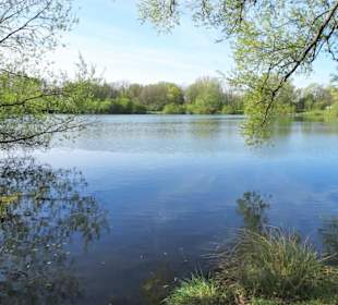Rundgang um die Ricklinger Kiesteiche