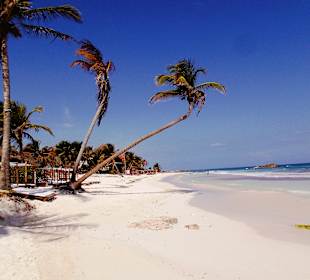 Traumstrand nahe Tulum