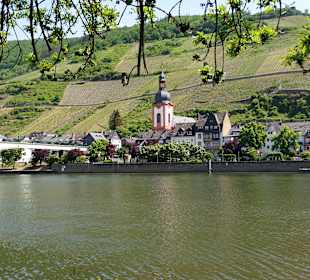 Wandern Alf an der Mosel