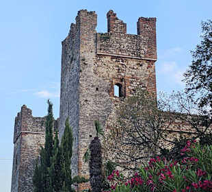 Lazise Scaligo Scaligero