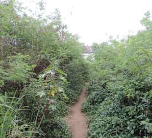 Altes Gefängnis, sehr düster