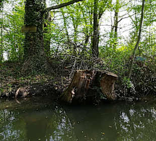 Spreewald