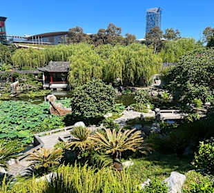 Impressionen aus dem chinesischen Garten