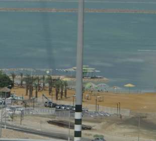 Już widać oleistość