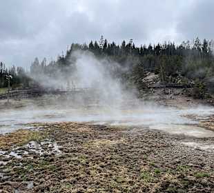 Yellowstone Nationalpark