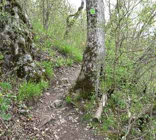 Eiszeitpfad - Burgfelsenpfad