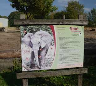 Zoo