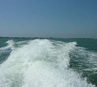 Leider keine Delfine zu sehen 