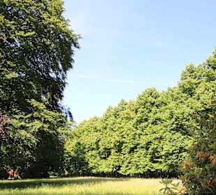Eindrücke im Franz. Garten