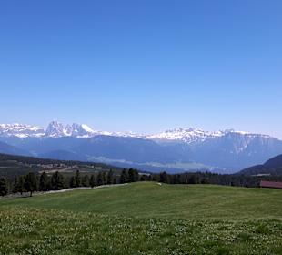 Wandern Scheffau Am Wilden Kaiser